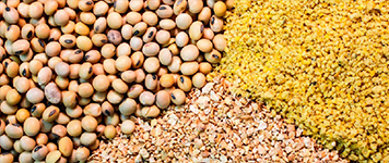 مکمل های غذایی